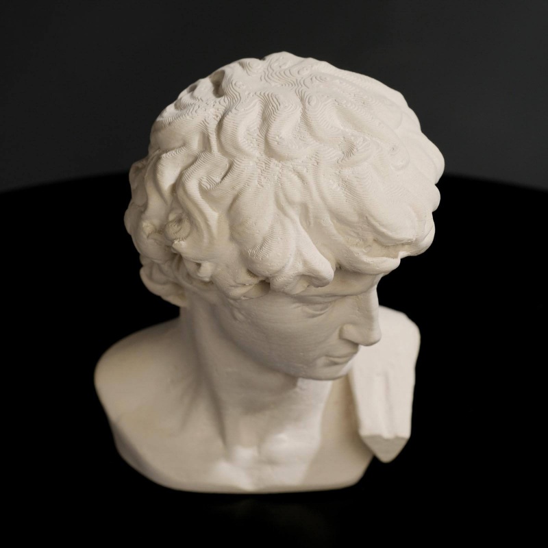 Гипсовая фигура "Голова Давида" 8 х 12,5, белая